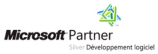 microsoft_silver